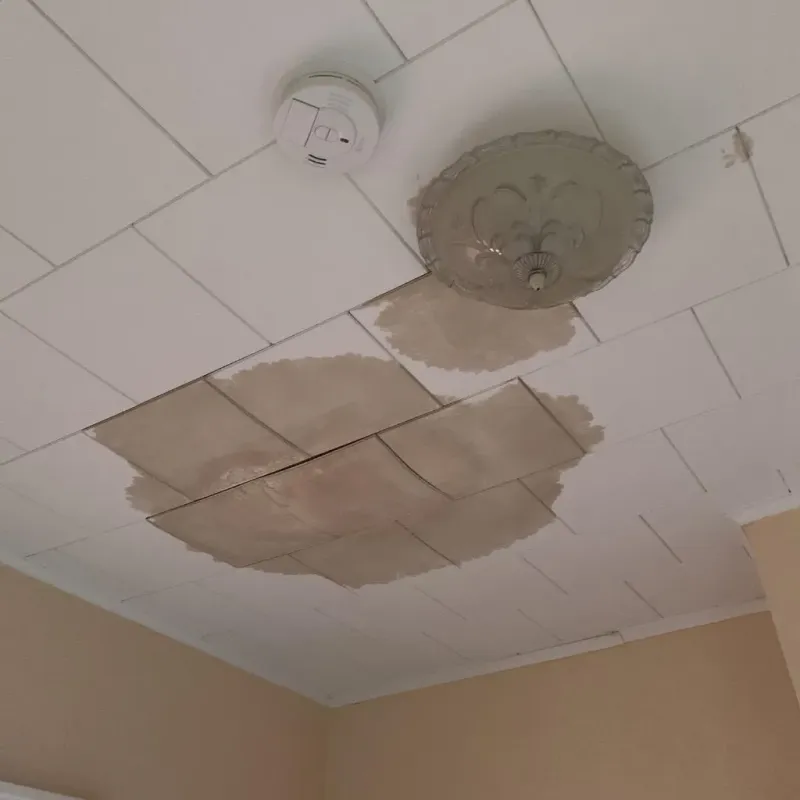Ceiling Water Damage Repair in Seacliff, CA